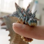 Monster Hunter Tri Diary 6 – Lagiacrus